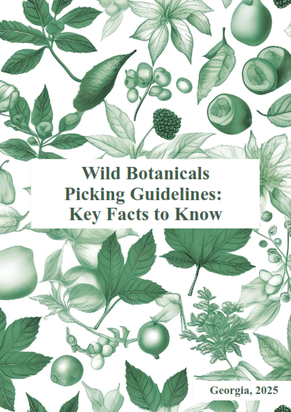 Wild Botanicals Picking Guidelines: Key Facts to Know